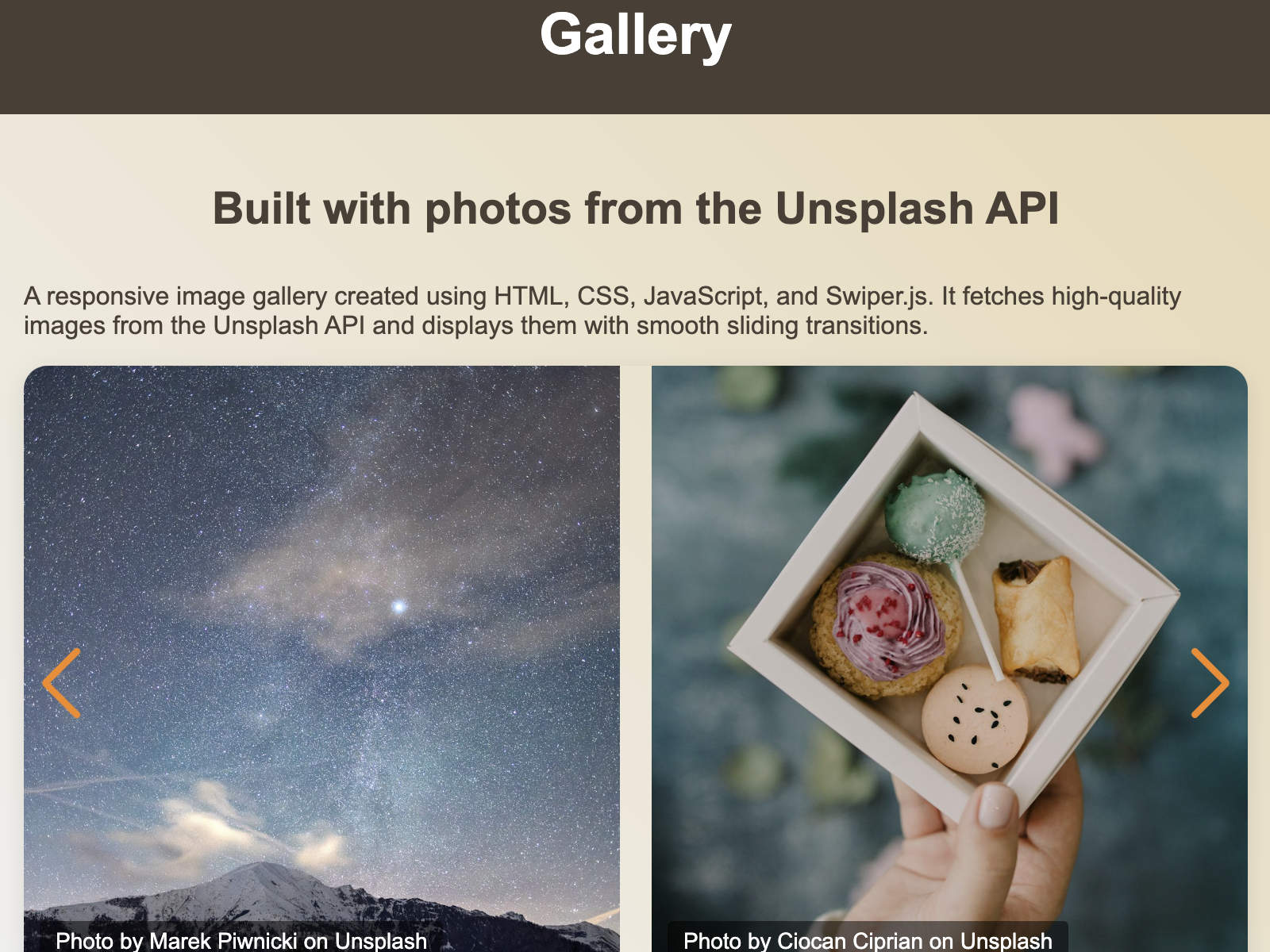 Project Gallery